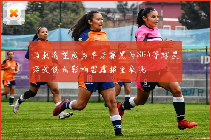 马刺有望成为季后赛黑马SGA等球星若受伤或影响雷霆掘金表现