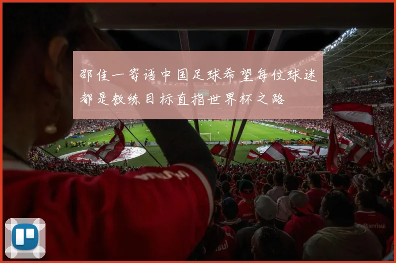邵佳一寄语中国足球希望每位球迷都是教练目标直指世界杯之路