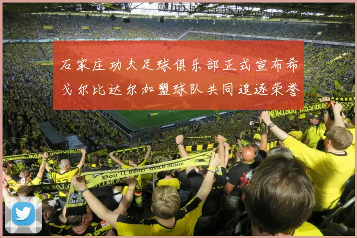 石家庄功夫足球俱乐部正式宣布希戈尔比达尔加盟球队共同追逐荣誉
