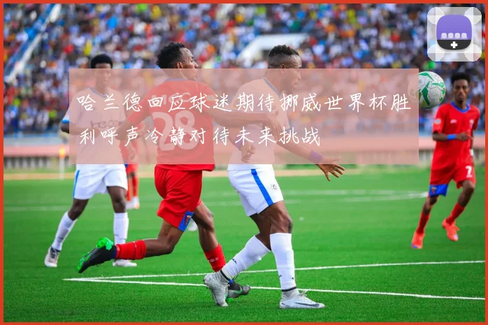 哈兰德回应球迷期待挪威世界杯胜利呼声冷静对待未来挑战