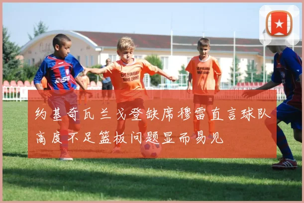 约基奇瓦兰戈登缺席穆雷直言球队高度不足篮板问题显而易见